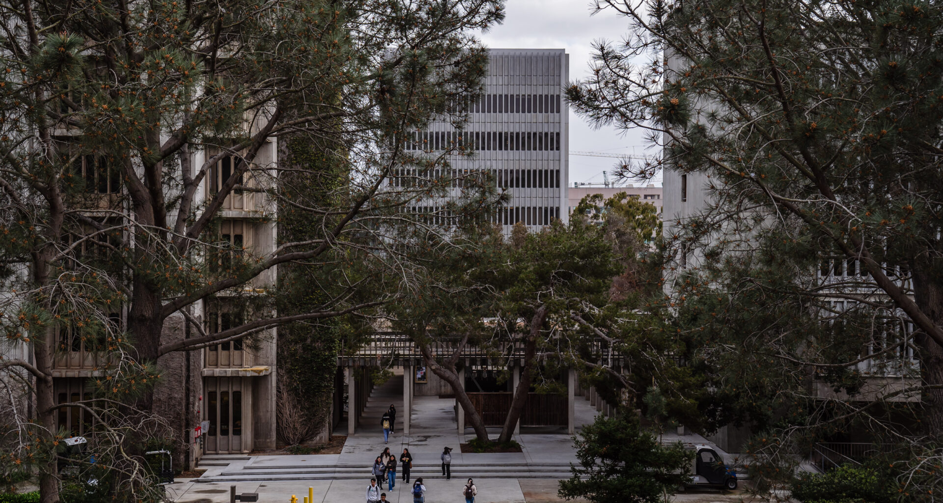 University of California San Diego in La Jolla on Feb. 14, 2023.