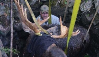 Maine wardens rescue moose trapped for hours in abandoned well
