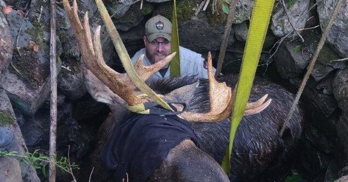 Maine wardens rescue moose trapped for hours in abandoned well