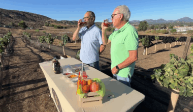 San Diego vineyard brings authentic Spanish wine tradition to California
