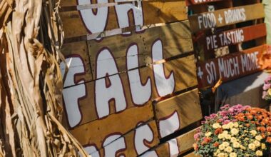 University Heights Fall Festival | KPBS Public Media