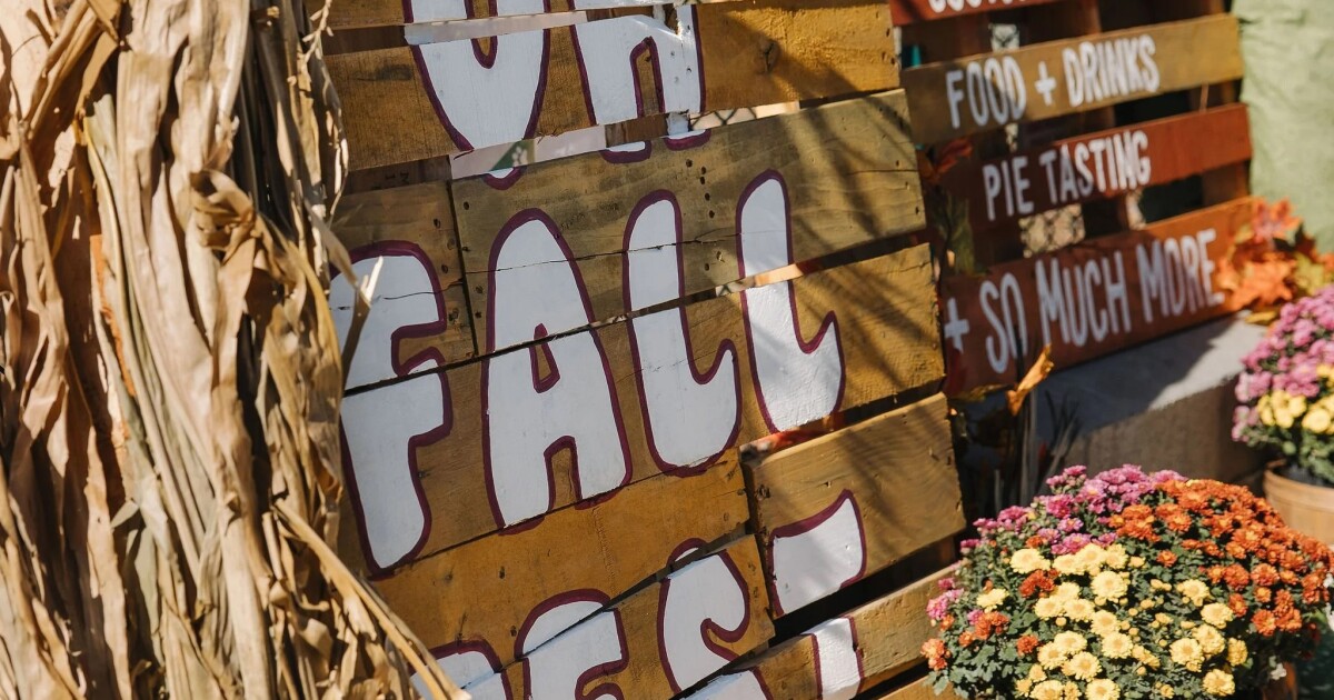 University Heights Fall Festival | KPBS Public Media