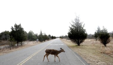 Here's what will be affected by a government shutdown : NPR