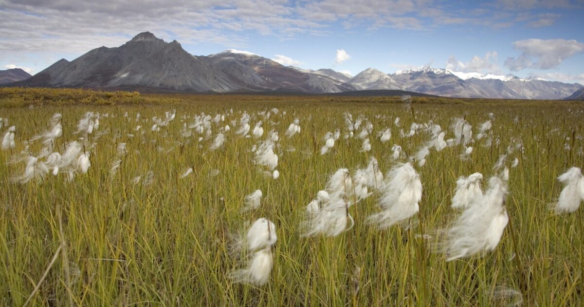 Alaska loses lawsuit that challenged the western boundary of the Arctic National Wildlife Refuge