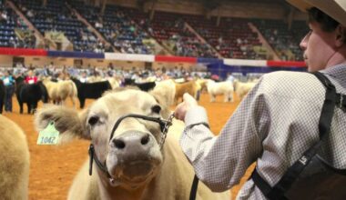 Will Rogers to get $28.6M from Fort Worth for coliseum renovations