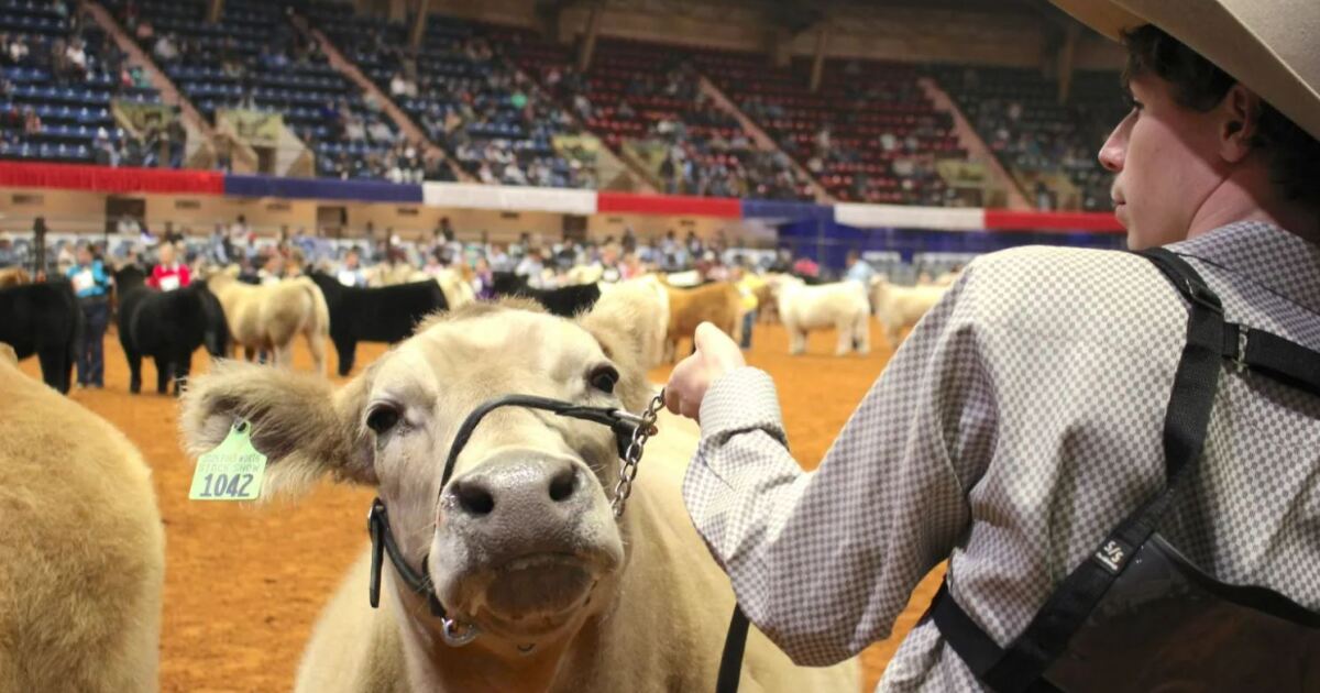 Will Rogers to get $28.6M from Fort Worth for coliseum renovations