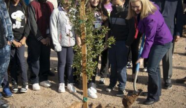 Phoenix planted thousands of trees in the last year as part of plan to increase shade