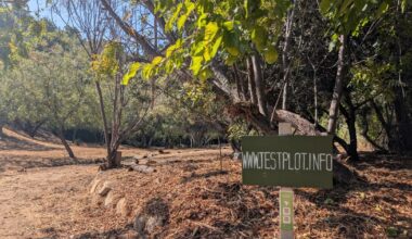 Repairing depleted park lands in LA, one ‘test plot' at a time