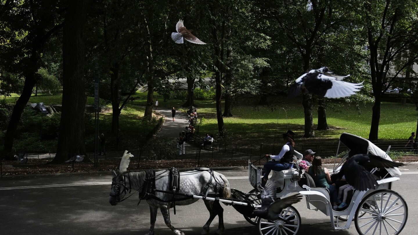 New York City mayor backs proposed ban on Central Park's horse-drawn carriages