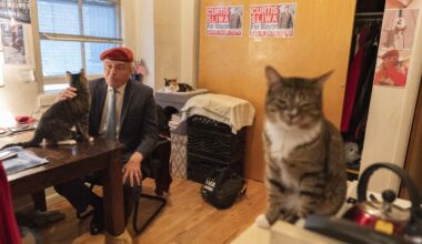 Trump swipes at Sliwa as NYC mayoral candidate, pokes at plan to use mayor's mansion to house cats