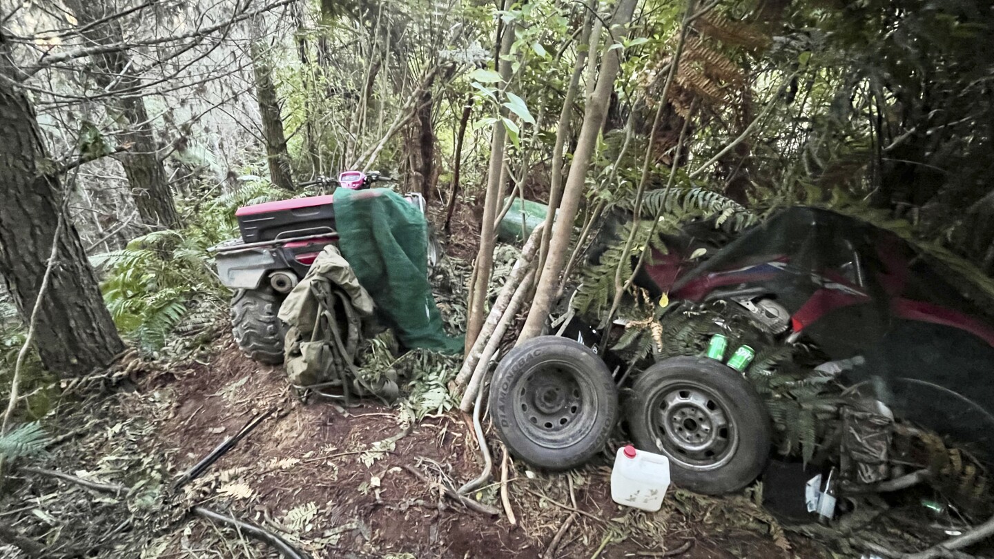 New Zealand police investigate how a man hid his 3 children in a forest for years without discovery