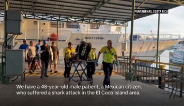 Mexican marine biologist attacked by a shark in Costa Rica