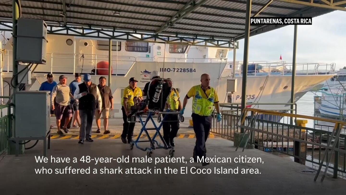 Mexican marine biologist attacked by a shark in Costa Rica
