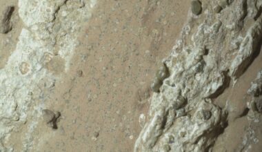 Past life on Mars? NASA rover finds strongest hints yet in Martian rocks