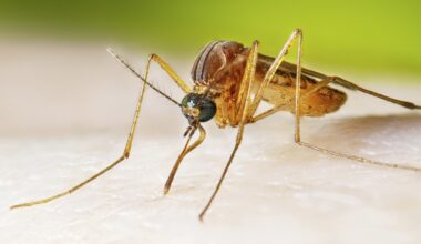 West Nile virus cases running higher than normal, prompting health warnings