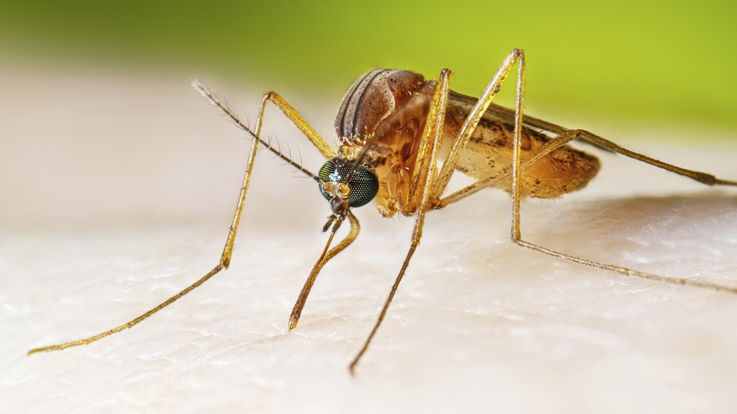 West Nile virus cases running higher than normal, prompting health warnings