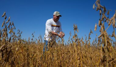 US soybean farmers caught in Trump's trade battle with China