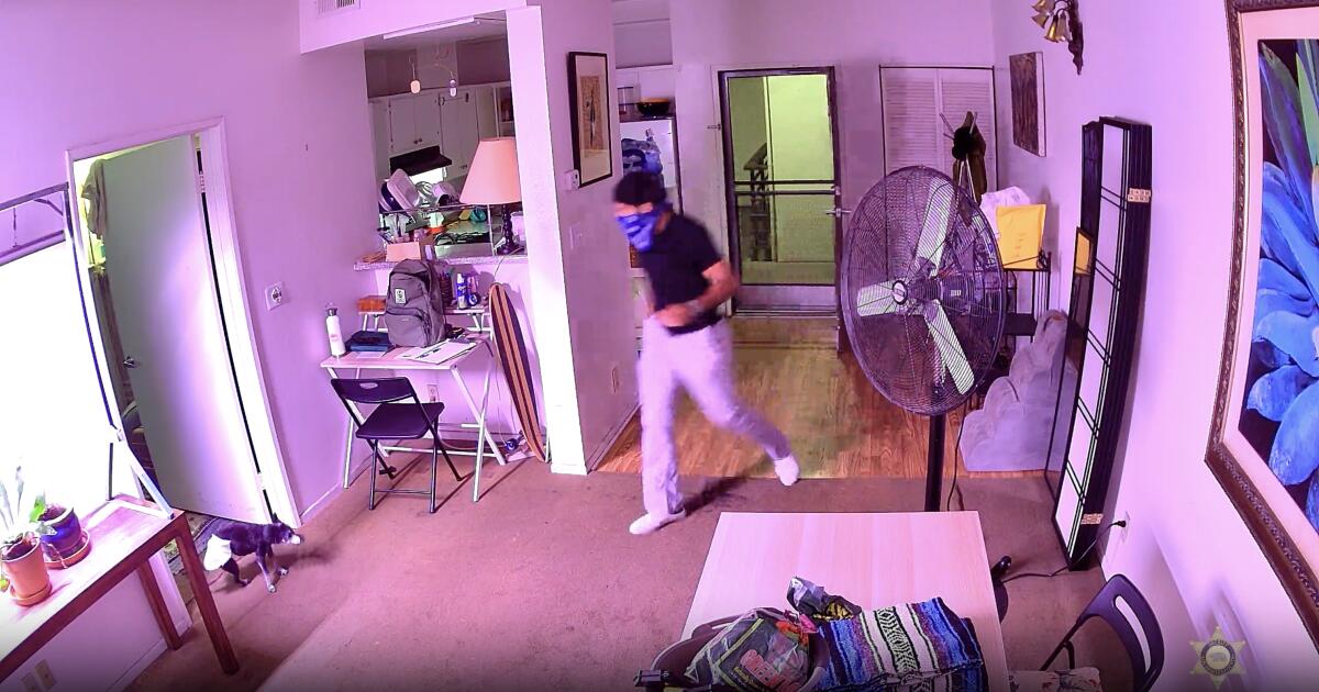 Man breaks into West Hollywood apartment, beats dog to death