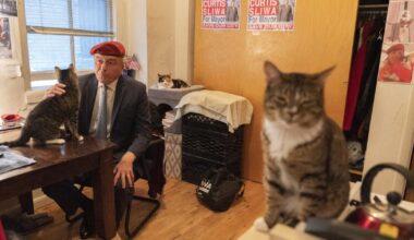 Trump dismisses cat-loving NYC Republican candidate for mayor as 'not exactly prime time'