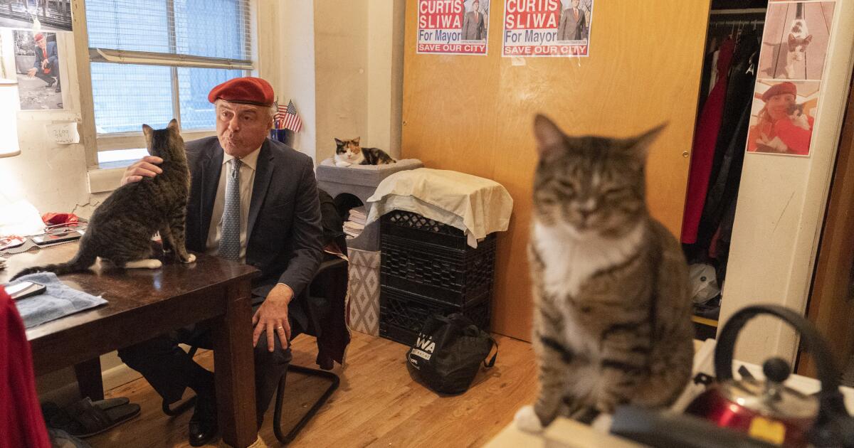 Trump dismisses cat-loving NYC Republican candidate for mayor as 'not exactly prime time'
