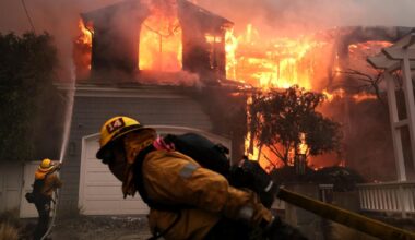 Senate Republicans investigate Palisades fire response