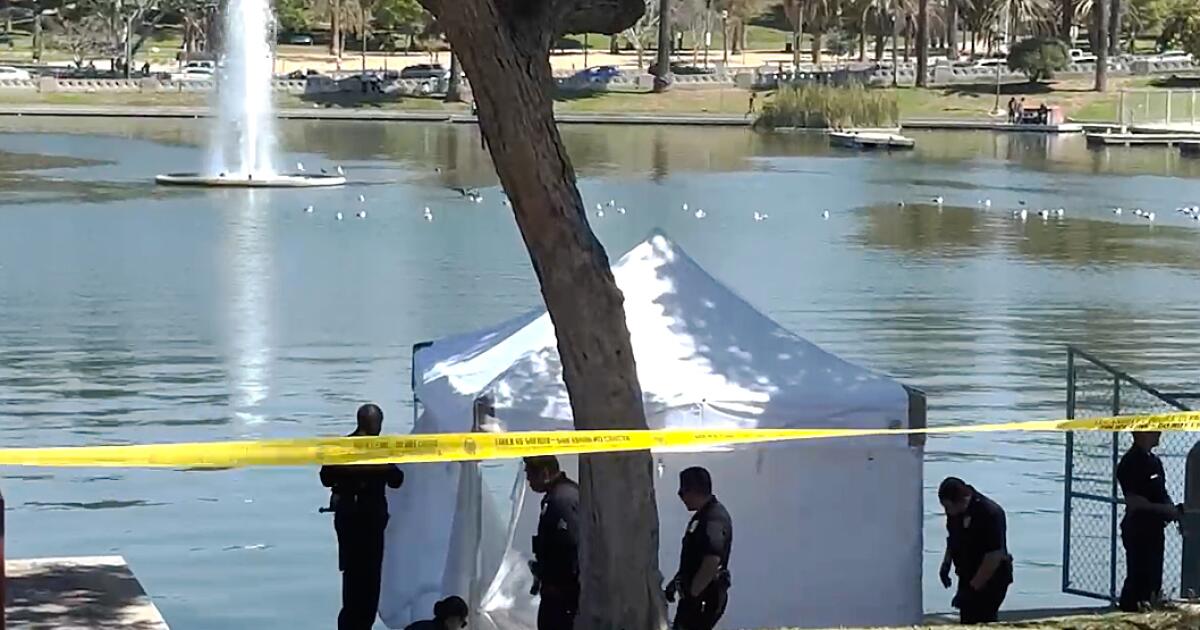 Body is found in MacArthur Park Lake