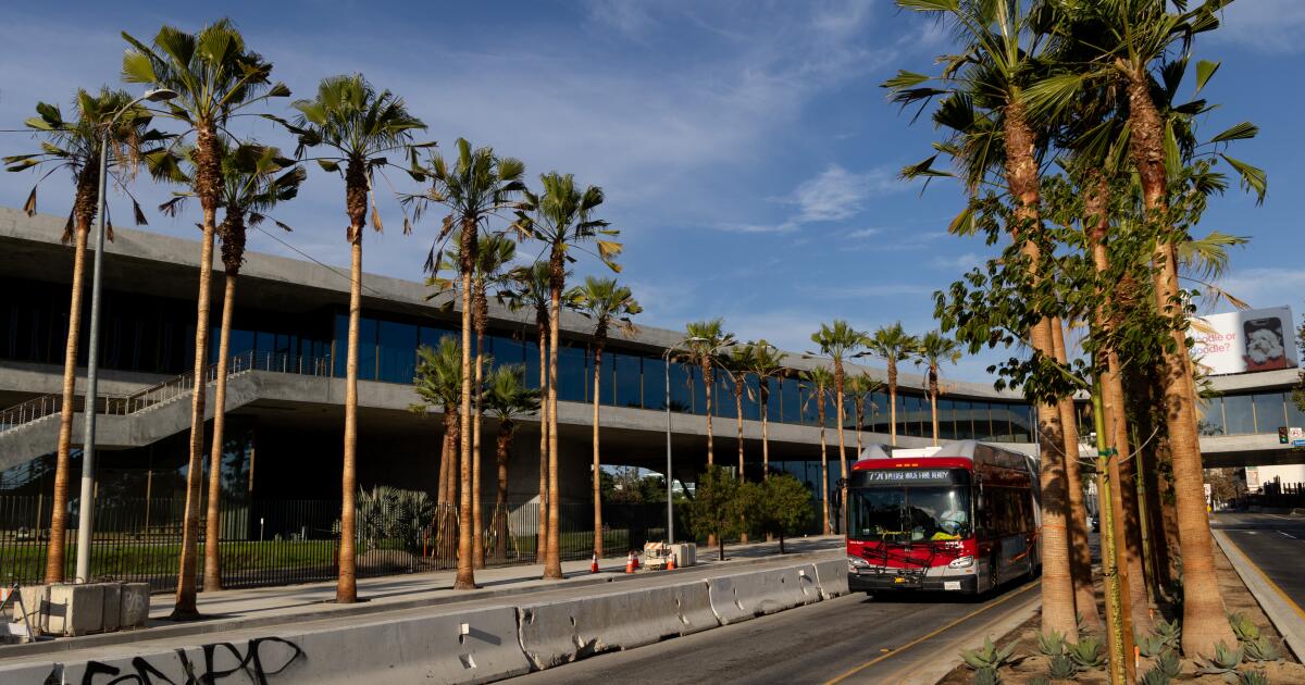 Are palm trees a tired cliché or monuments to L.A.’s culture?