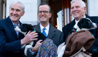 California lawmakers pass ban on popular puppy sale websites
