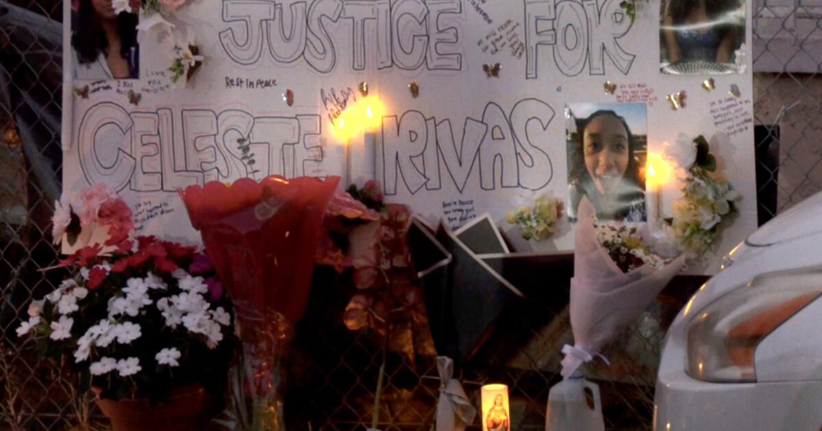 Mystery deepens into Celeste Rivas Hernandez's death as authorities release her body, probe D4vd ties