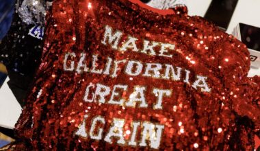California GOP energized by opposition to Newsom's redistricting plan