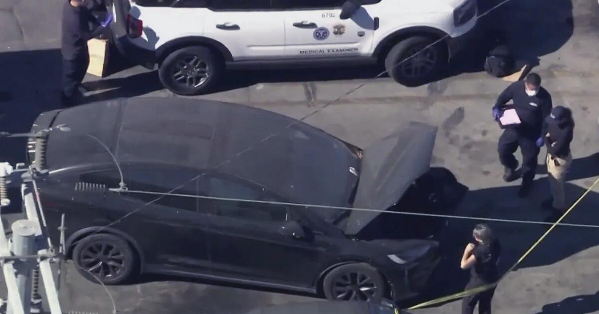 LAPD investigates two decomposed bodies, one found in Tesla linked to rapper D4vd