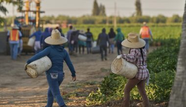 1.2 million immigrants gone from the U.S. labor force, preliminary data shows