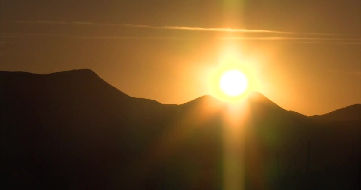 Arizona's most resilient species facing pressure amid the state's hotter summers