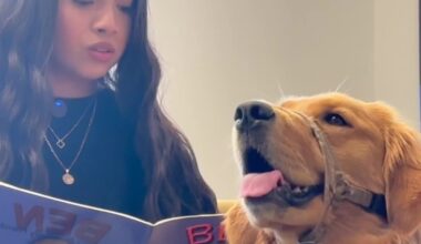 Puppy partners are boosting reading skills in Phoenix school