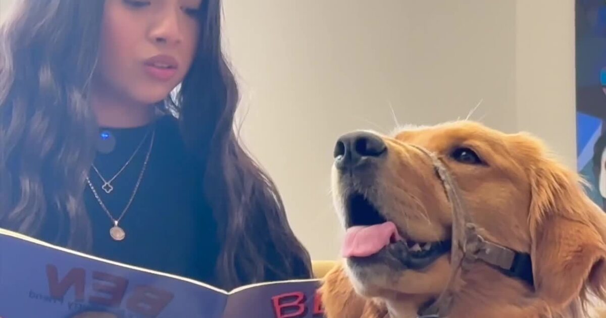 Puppy partners are boosting reading skills in Phoenix school