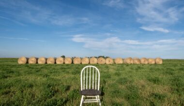 A chair in the middle of a field? It makes more sense than it should. - InForum