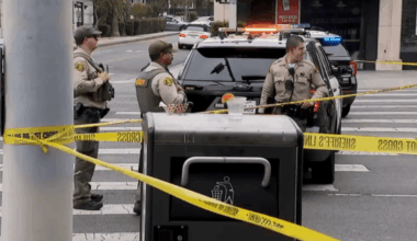 Man arrested in stabbing during West Hollywood brawl – NBC Los Angeles