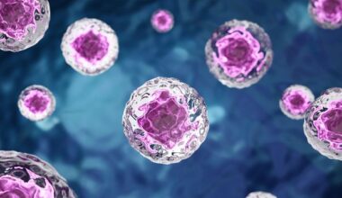 Stress-Responsive Autophagy Signals Identified via CRISPR