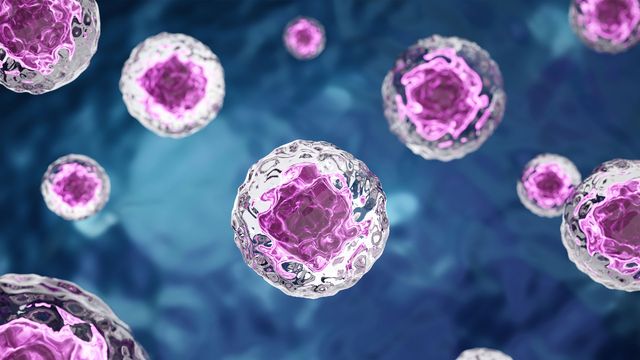 Stress-Responsive Autophagy Signals Identified via CRISPR