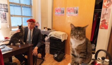 Trump dismisses cat-loving NYC Republican candidate for mayor as 'not exactly prime time'
