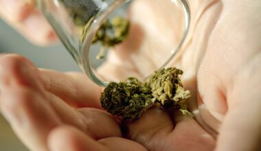 Women Who Use Marijuana May Have Higher Risk of Miscarriage, Study Finds