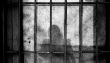 A Mexican man was sentenced to more than five years in prison on Tuesday for assaulting a U.S. bord...