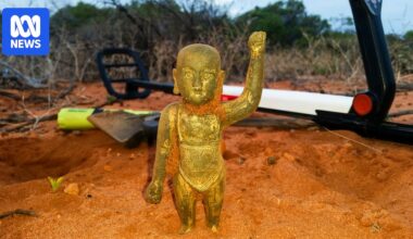 Prospecting mates who found Ming Dynasty Buddha urge prime minister to help repatriate it to China