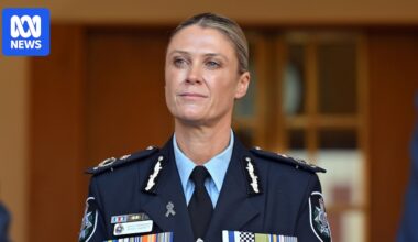 New AFP taskforce to target men 'hunting' young girls and coercing them into violent acts