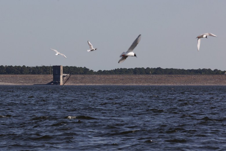 The Ferrells Bridge Dam on the Lake o’ the Pines on April 9, 2025.