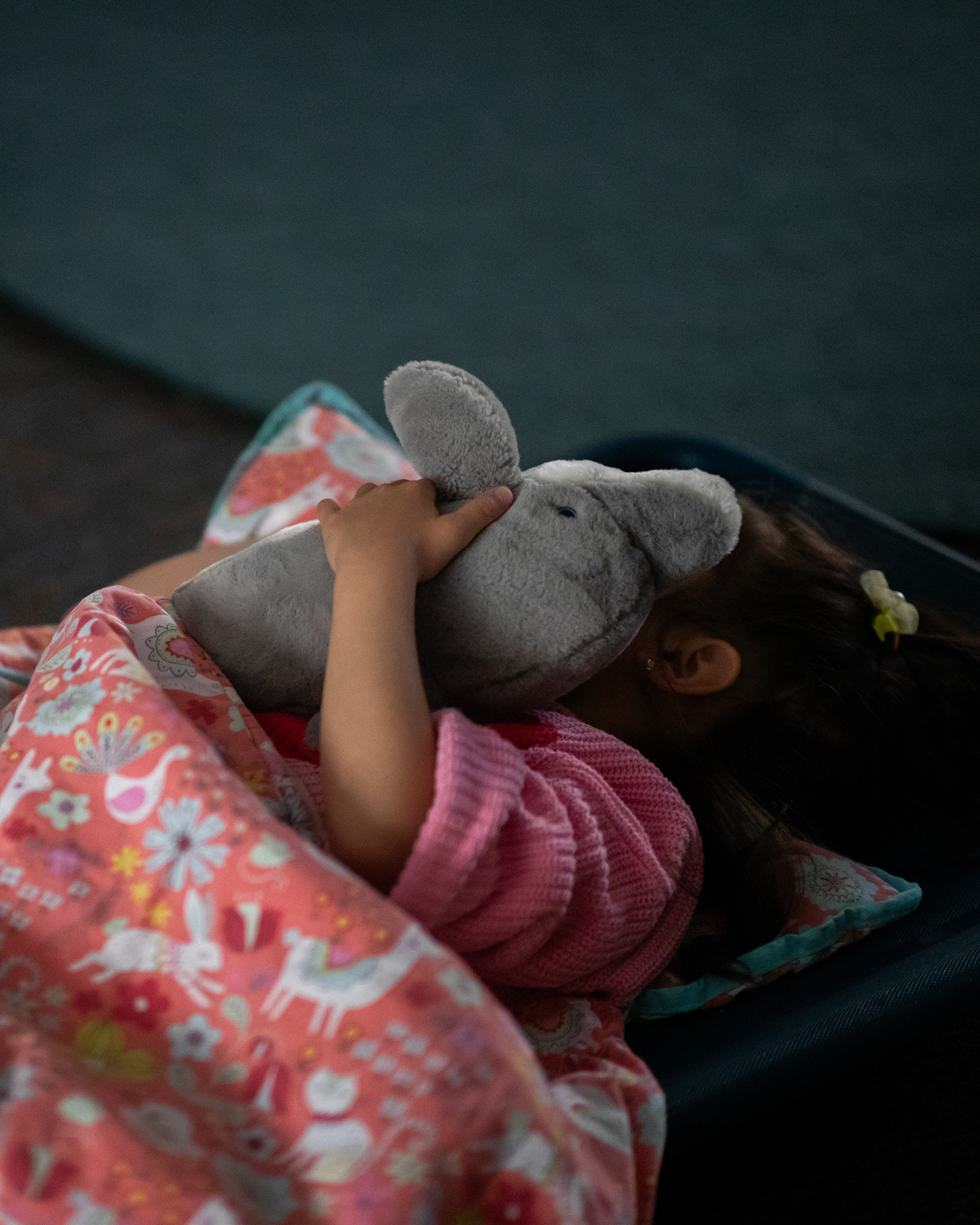 A young student holds a dolphin stuff animal that covers their face as they sleep during nap time at a school. A pink blanket with decorated with different animals lays on top of the student to keep them warm and comfortable.