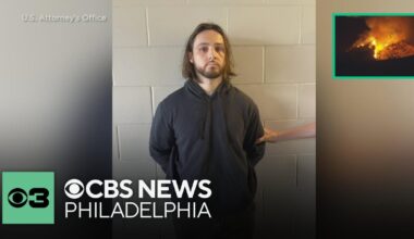 Palisades fire arrest made; a 29-year-old man was taken into custody in Florida