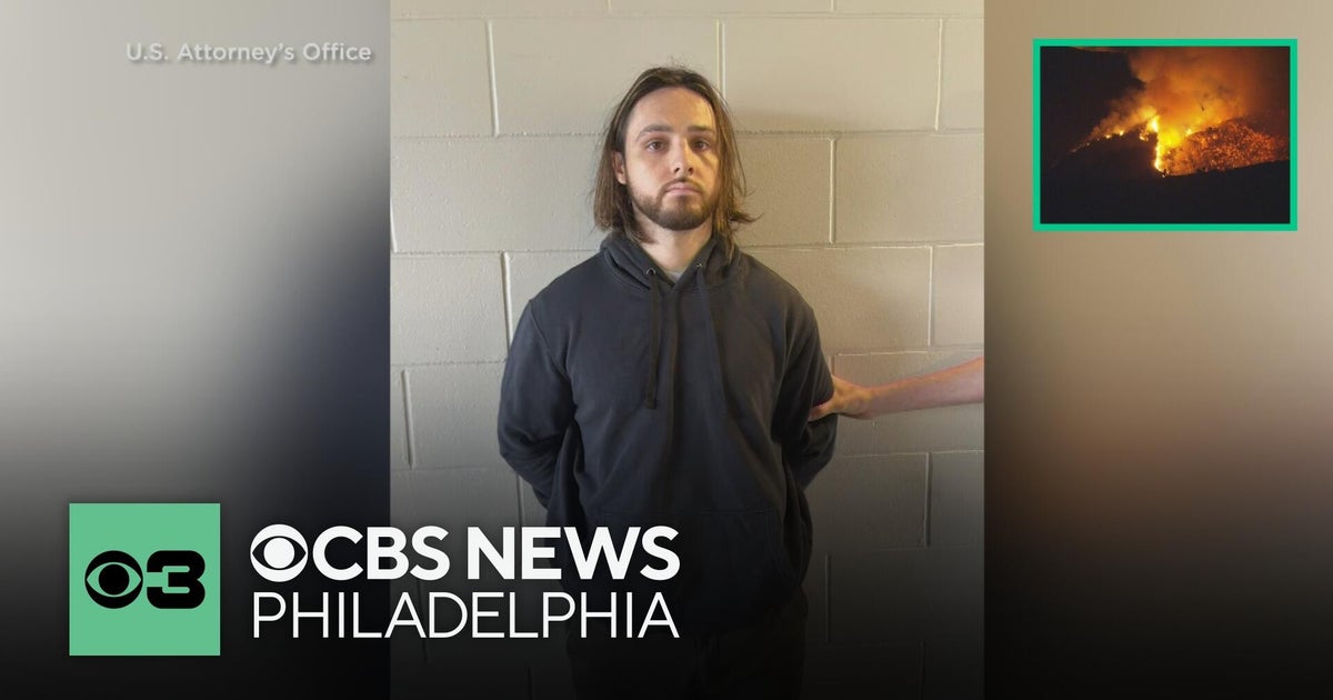 Palisades fire arrest made; a 29-year-old man was taken into custody in Florida