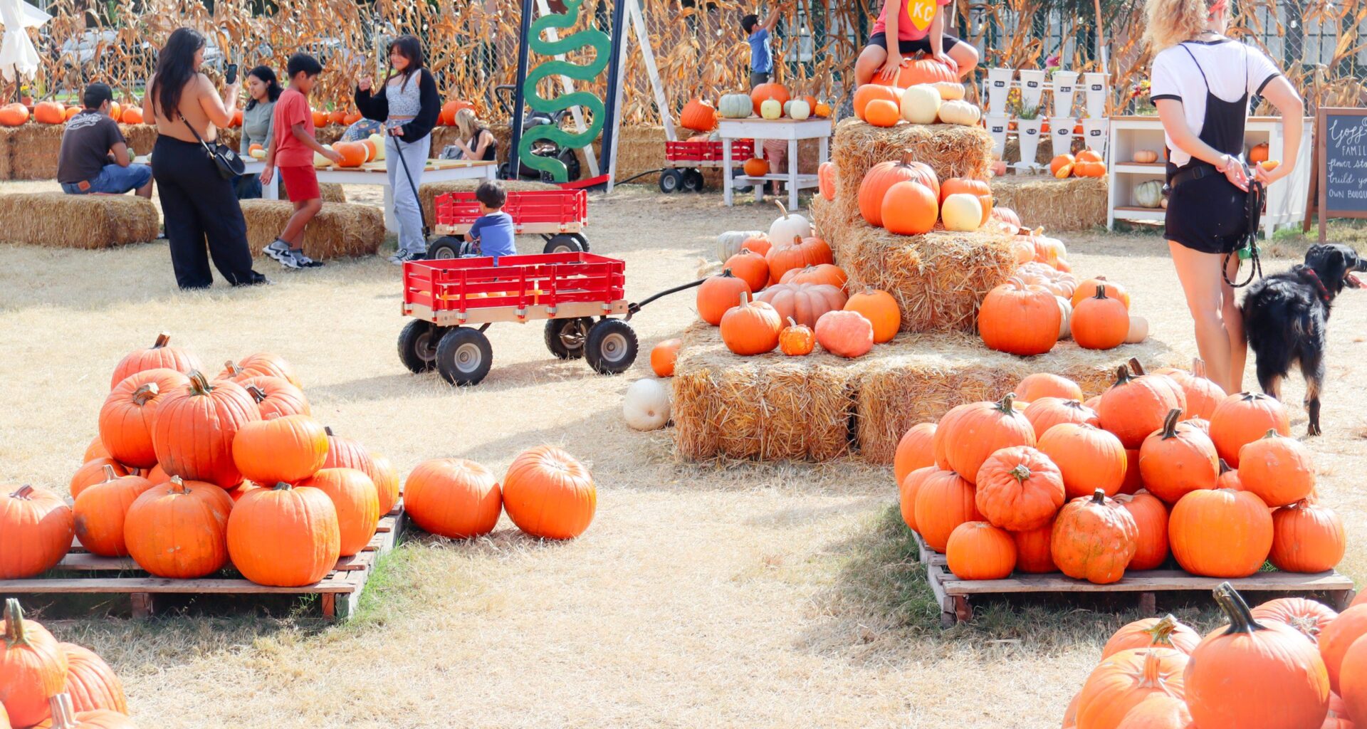 Scary schools, costume contests, more