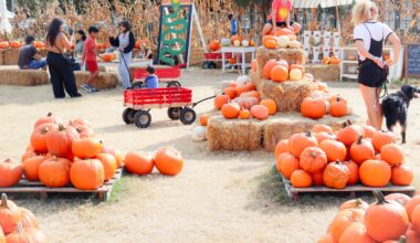 Scary schools, costume contests, more